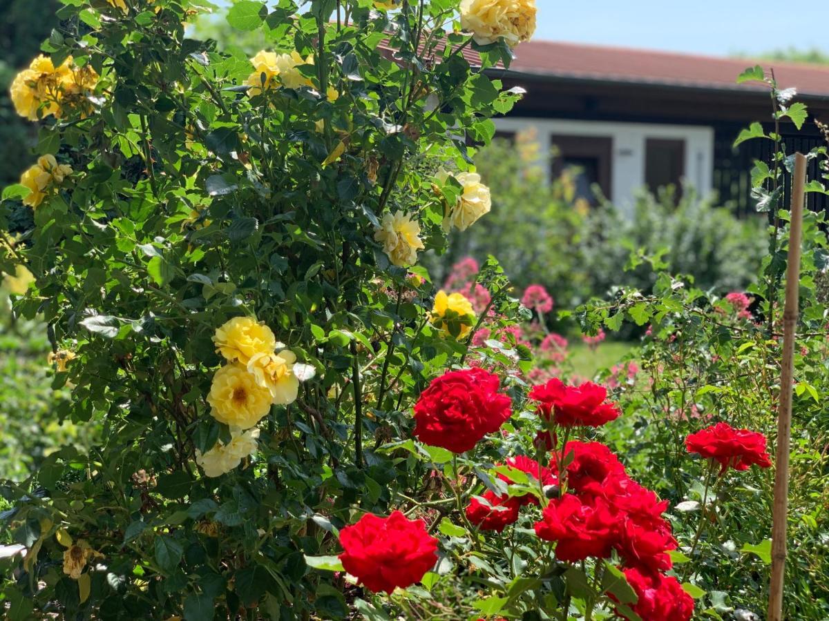 Ferienapartments Querleben Mirow Bagian luar foto